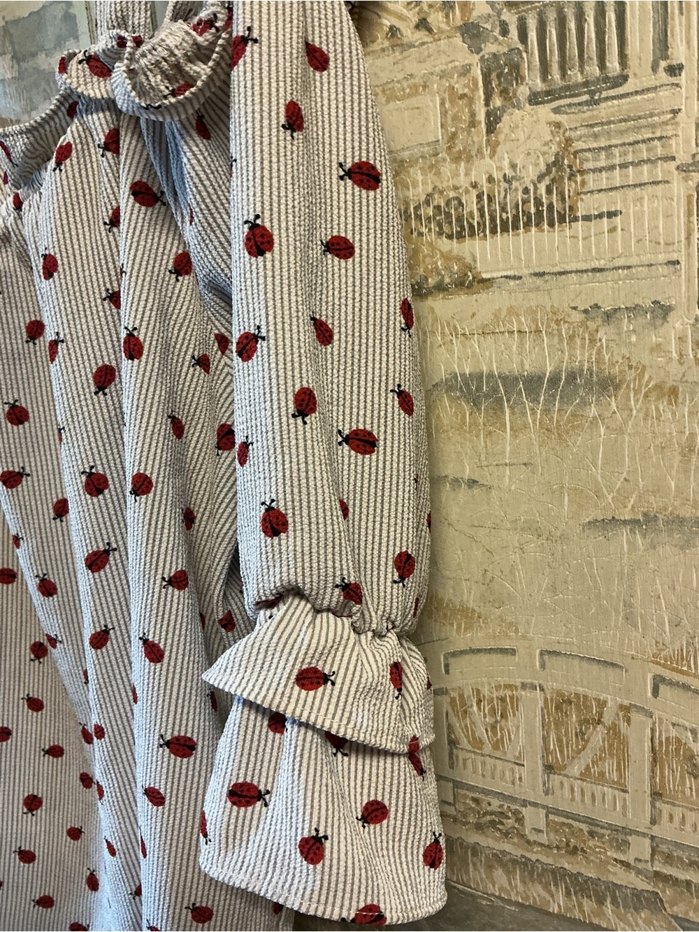 Twing & String Off-Shoulder ladybug Print Top - Picture 3 of 6